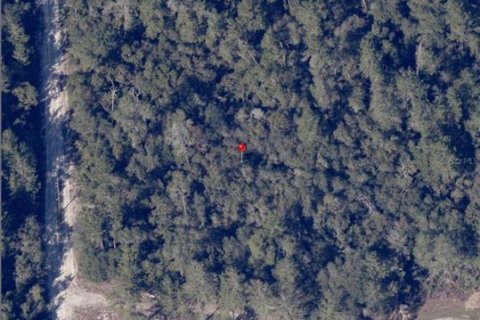 Terrain à Ocala, Floride № 2106255