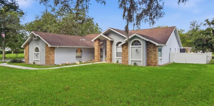 Villa ou maison à Masaryktown, Floride 4 chambres, 265.51 m2 № 2238590