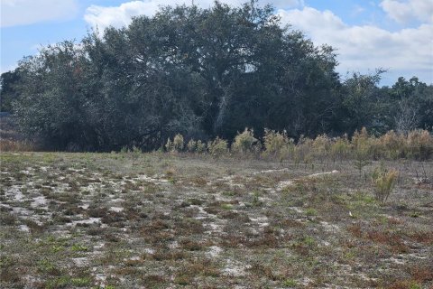 Land in Dade City, Florida № 2161814 - photo 3