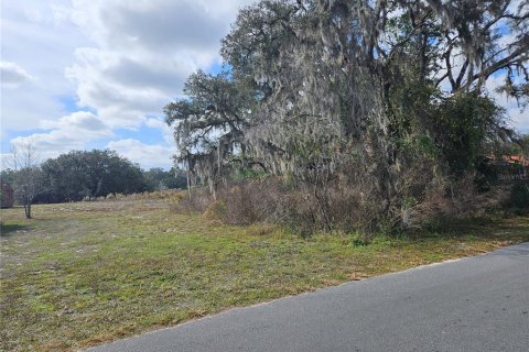 Land in Dade City, Florida № 2161814 - photo 2