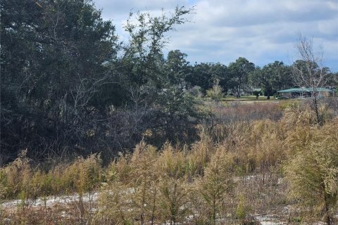 Land in Dade City, Florida № 2161814 - photo 5