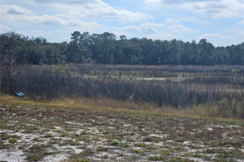Land in Dade City, Florida № 2161814 - photo 6