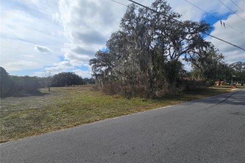 Land in Dade City, Florida № 2161814