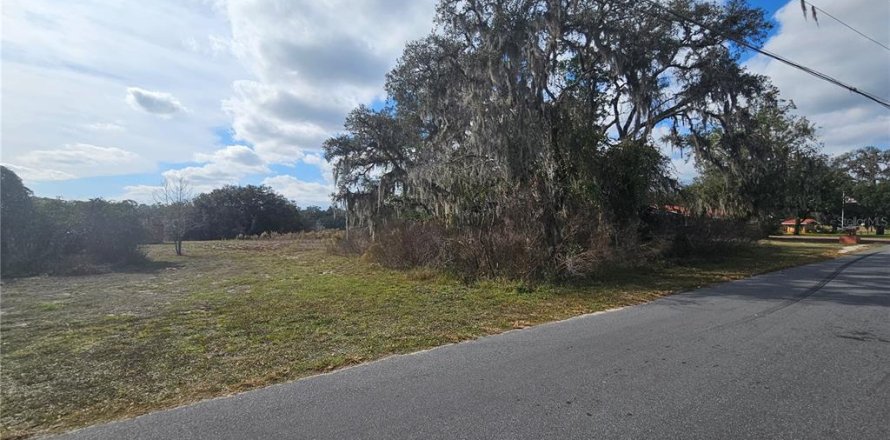 Land in Dade City, Florida № 2161814