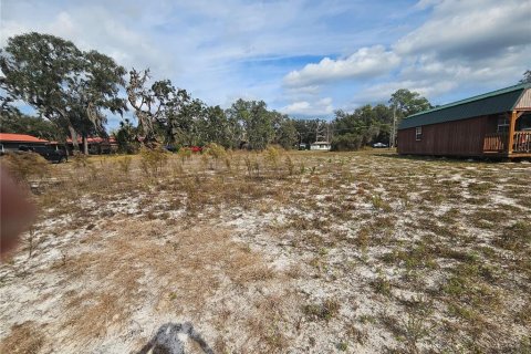 Land in Dade City, Florida № 2161814 - photo 7