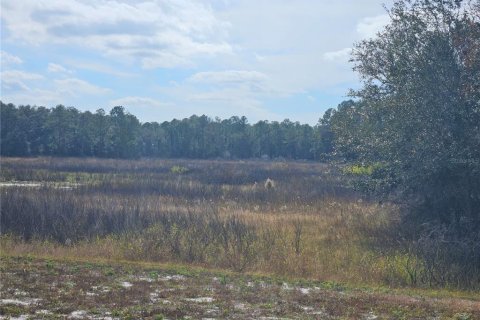 Land in Dade City, Florida № 2161814 - photo 4