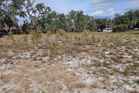 Land in Dade City, Florida № 2161814 - photo 8