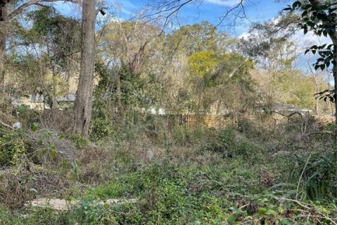 Land in Alachua, Florida № 2203953 - photo 8
