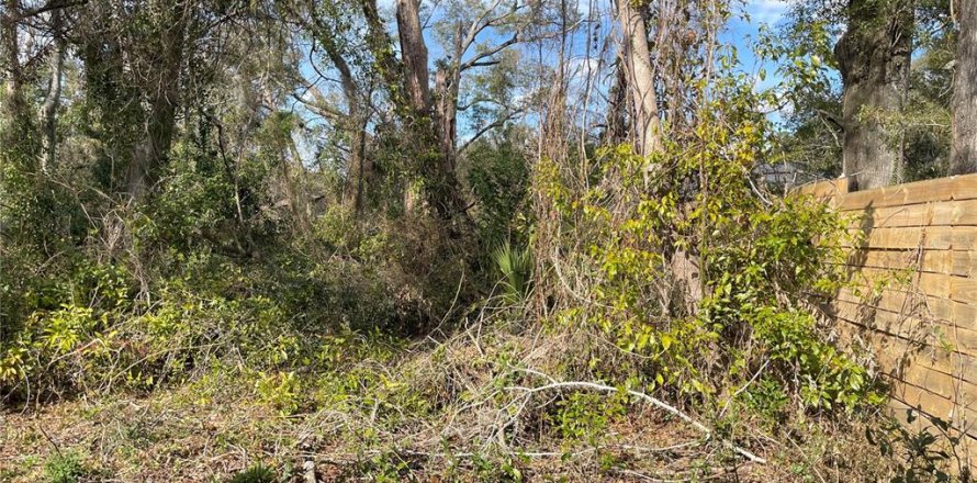 Land in Alachua, Florida № 2203953