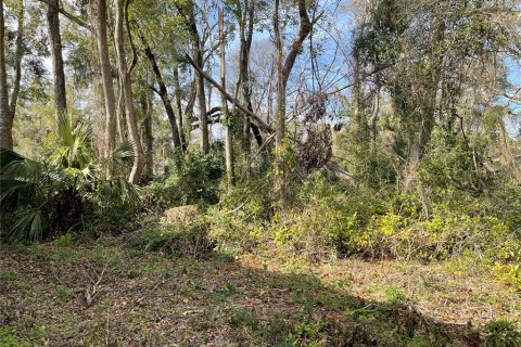 Land in Alachua, Florida № 2203953 - photo 2