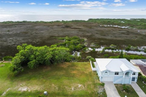 Land in Hudson, Florida № 864425 - photo 15