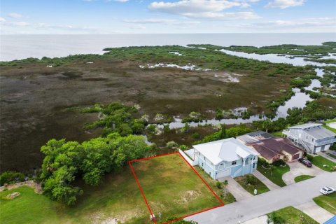 Land in Hudson, Florida № 864425 - photo 18
