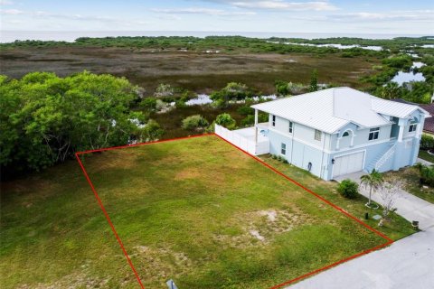Land in Hudson, Florida № 864425 - photo 14