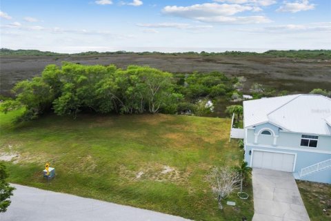 Land in Hudson, Florida № 864425 - photo 12
