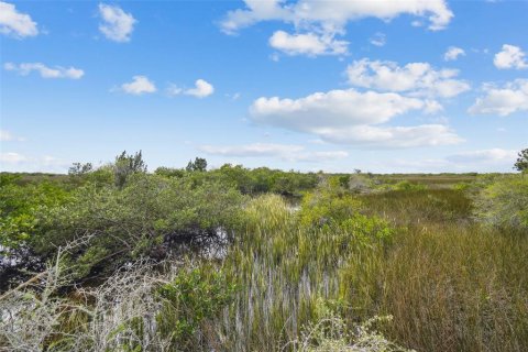 Land in Hudson, Florida № 864425 - photo 9