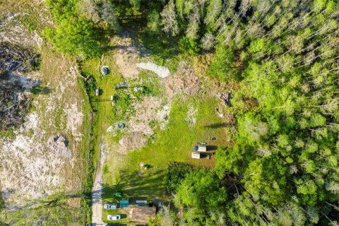 Terreno en venta en Land O' Lakes, Florida № 1620618 - foto 1