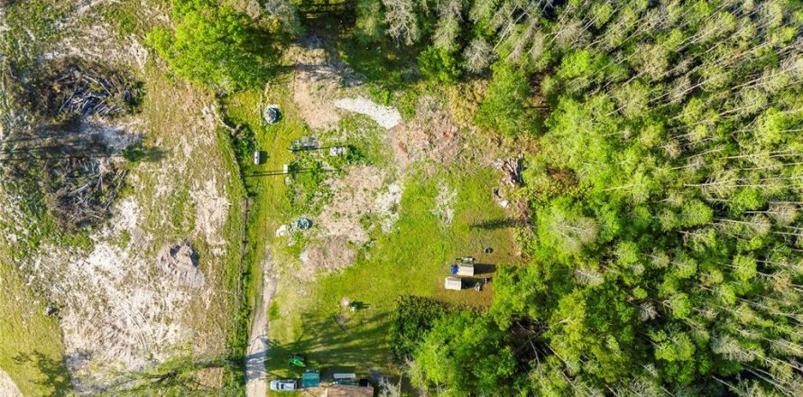 Terreno en Land O' Lakes, Florida № 1620618