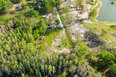 Terreno en venta en Land O' Lakes, Florida № 1620618 - foto 6