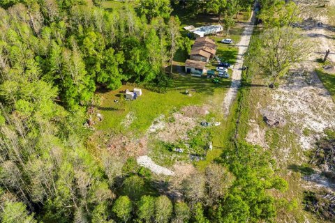 Terreno en venta en Land O' Lakes, Florida № 1620618 - foto 5