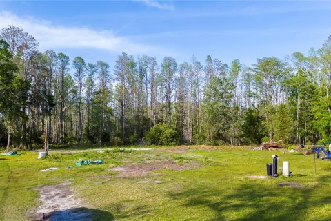 Terreno en venta en Land O' Lakes, Florida № 1620618 - foto 9