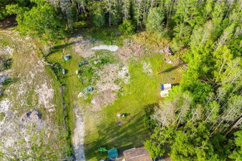 Terreno en venta en Land O' Lakes, Florida № 1620618 - foto 2