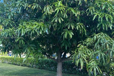 Propiedad comercial en venta en Fort Lauderdale, Florida, 264.31 m2 № 1991376 - foto 3