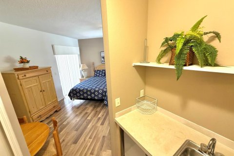 Copropriété à louer à Port St. Lucie, Floride: 1 chambre, 41.81 m2 № 2167976 - photo 10