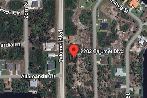 Land in Port Charlotte, Florida № 2164413 - photo 2