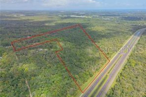 Commercial property in Edgewater, Florida № 1535534 - photo 3