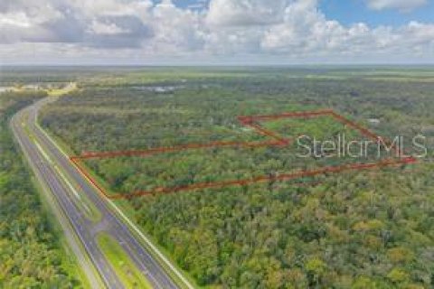 Commercial property in Edgewater, Florida № 1535534 - photo 5