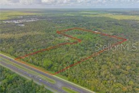 Commercial property in Edgewater, Florida № 1535534 - photo 6