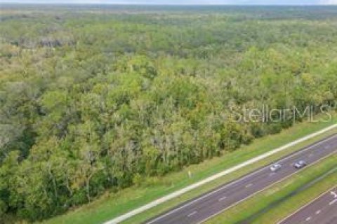 Commercial property in Edgewater, Florida № 1535534 - photo 10