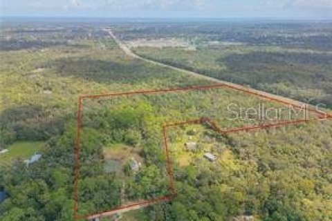 Commercial property in Edgewater, Florida № 1535534 - photo 1