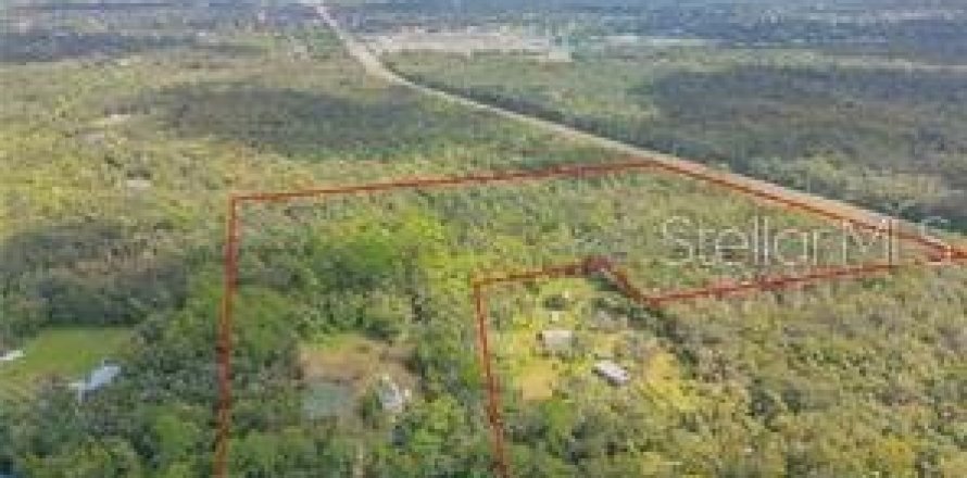 Commercial property in Edgewater, Florida № 1535534