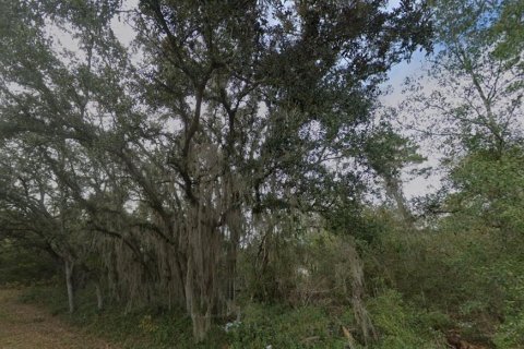 Land in Ocklawaha, Florida № 2202617 - photo 5