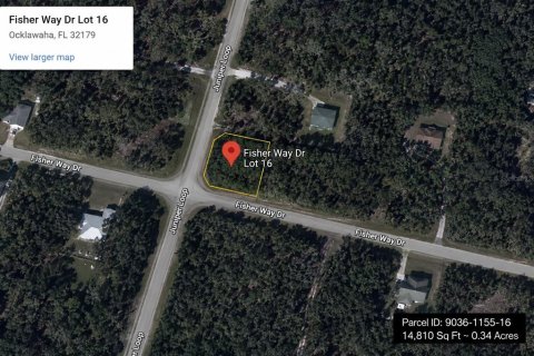 Terrain à Ocklawaha, Floride № 2202617