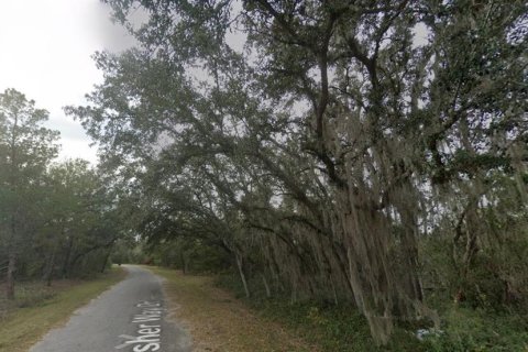 Land in Ocklawaha, Florida № 2202617 - photo 4