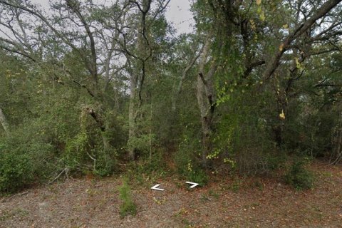 Land in Ocklawaha, Florida № 2202617 - photo 2