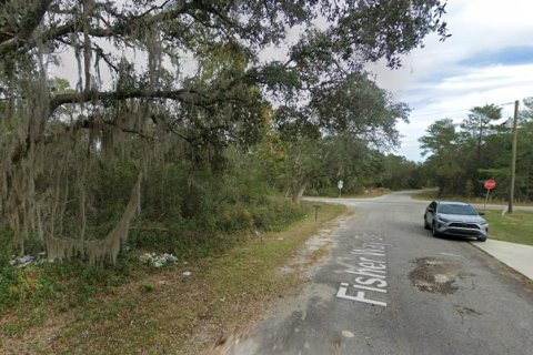 Land in Ocklawaha, Florida № 2202617 - photo 3