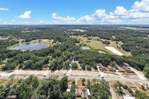 Land in Fruitland Park, Florida № 306813 - photo 8