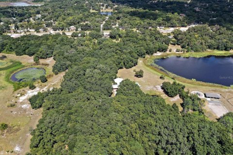 Land in Fruitland Park, Florida № 306813 - photo 9