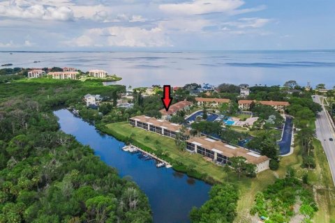 Condo in Tarpon Springs, Florida, 2 bedrooms  № 2225597 - photo 3
