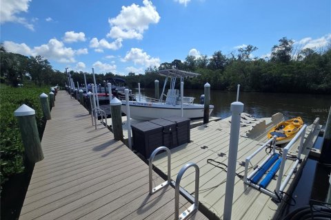Condo in Tarpon Springs, Florida, 2 bedrooms  № 2225597