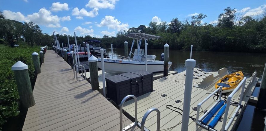 Condo in Tarpon Springs, Florida, 2 bedrooms  № 2225597