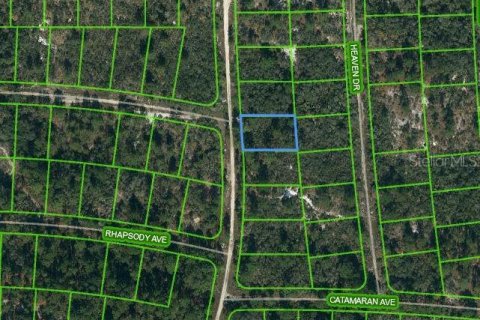 Land in Lake Placid, Florida № 2162456