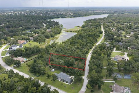Land in Riverview, Florida № 2287577