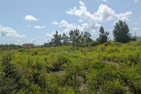 Land in Indian lake estates, Florida № 2217550 - photo 7