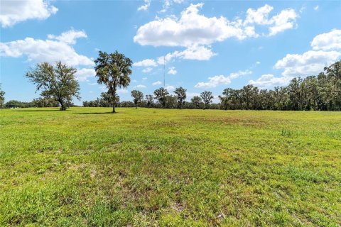 Terreno en venta en Reddick, Florida № 238111 - foto 14