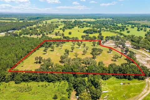 Terreno en venta en Reddick, Florida № 238111 - foto 3