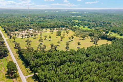 Terreno en venta en Reddick, Florida № 238111 - foto 5